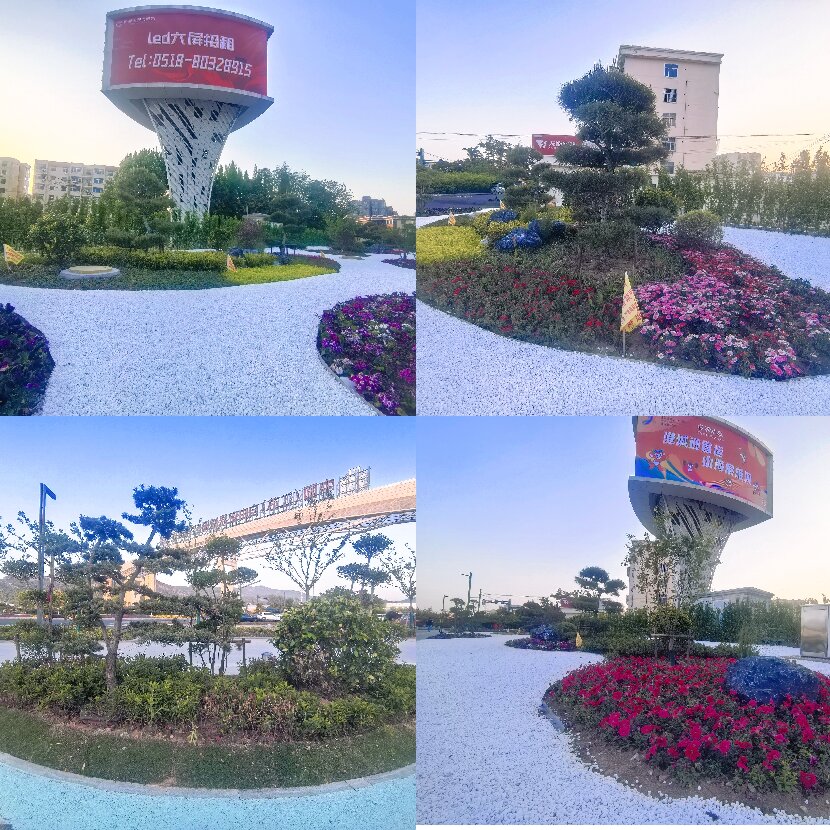 上网