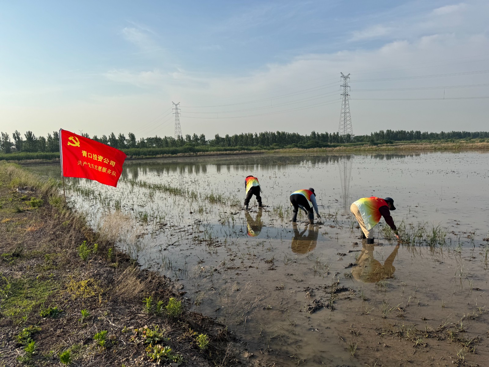 微信图片_20260610101436_227_98
