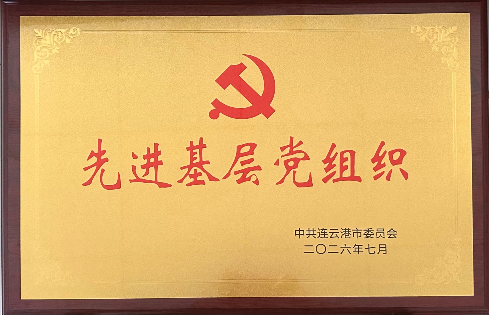 连云港市委先进基层党组织-奖牌